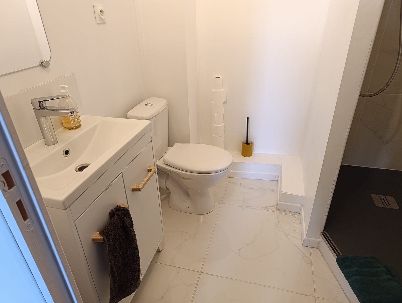 Salle de bain avec douche, lavabo et WC
